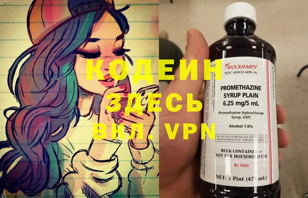 гашик Верея