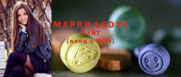 гашик Верея