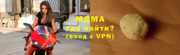 шишки Бородино