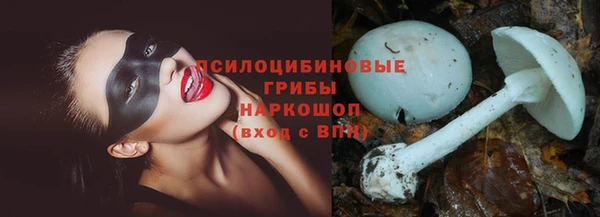 гашик Верея