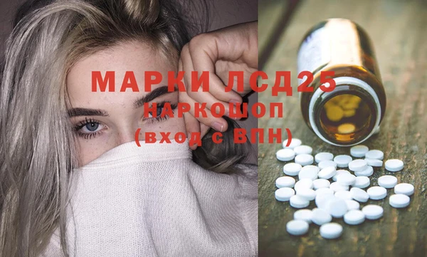 гашик Верея