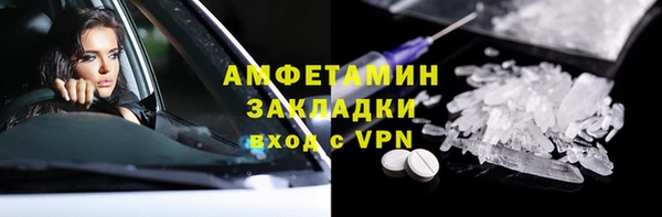 шишки Бородино