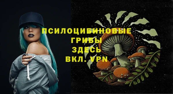 гашик Верея