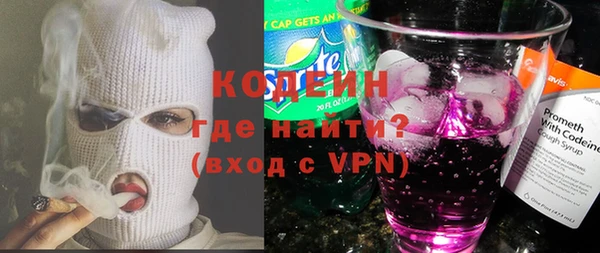 гашик Верея