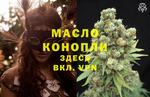 гашик Верея