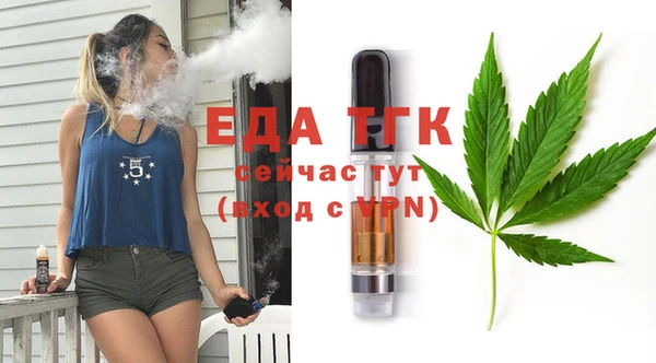 шишки Бородино