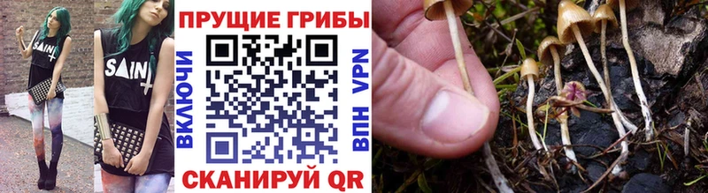 Псилоцибиновые грибы GOLDEN TEACHER  Купить где  Гуково 